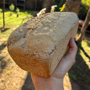 Pan integral agroecológico