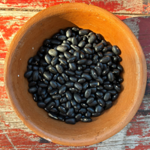 porotos negros agroecológicos